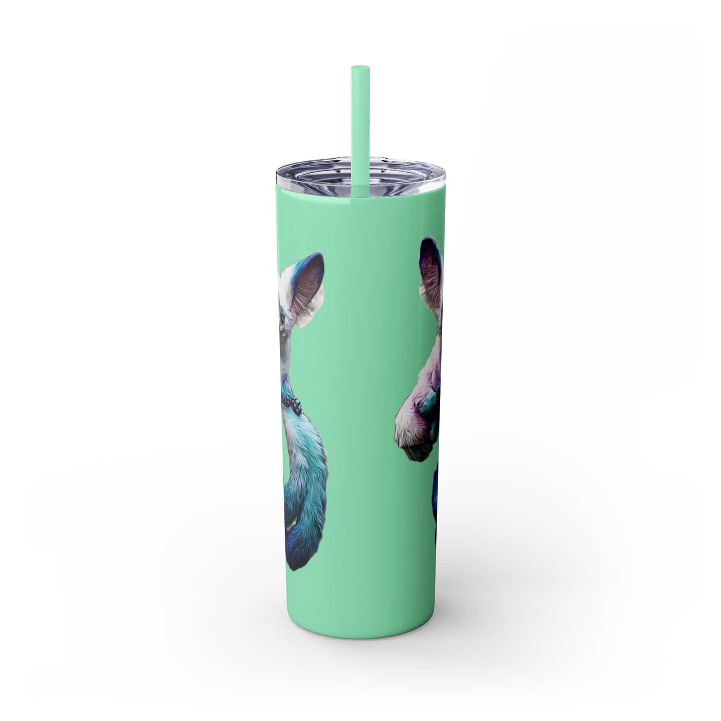 Dreambaby Skinny Tumbler with Straw, 20oz