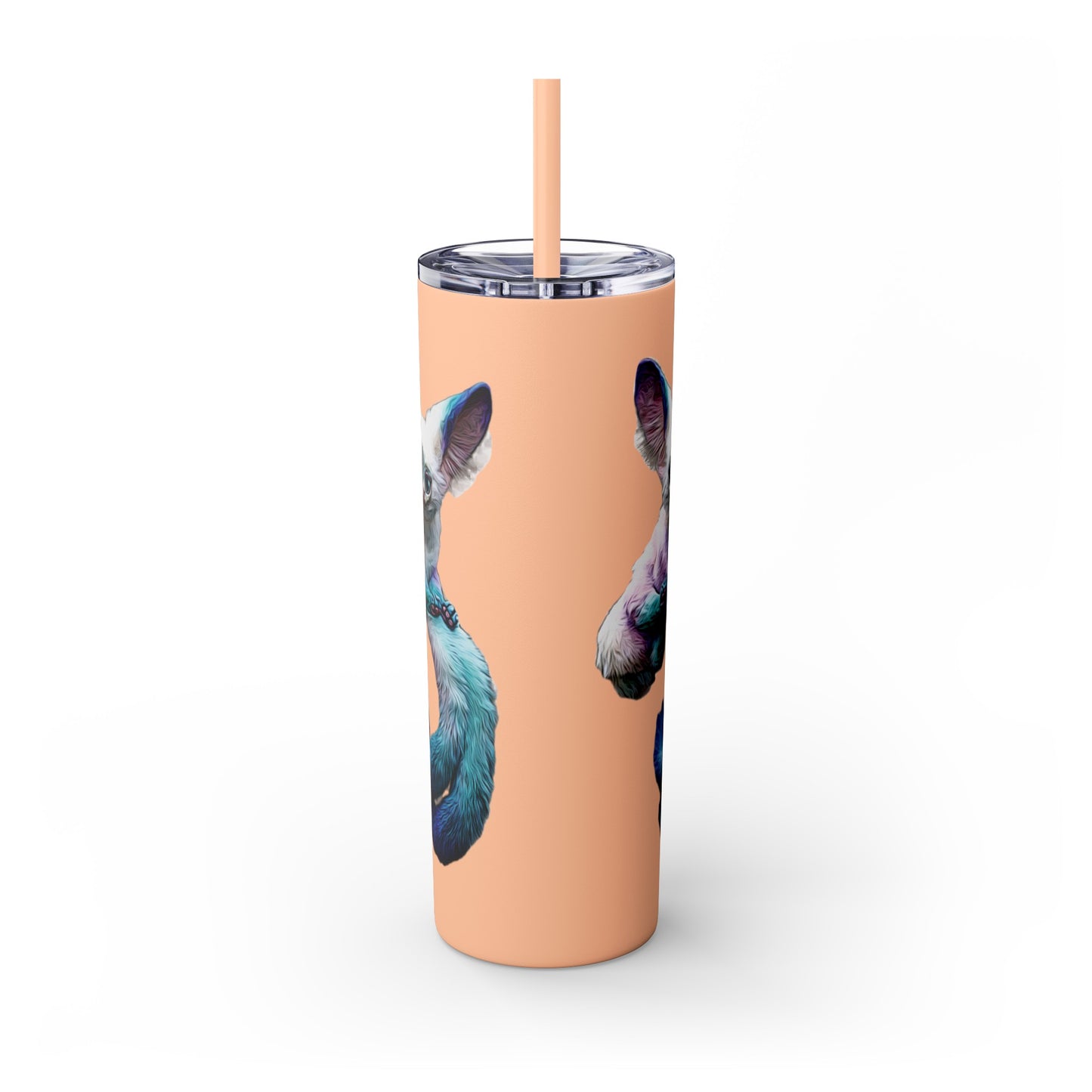 Dreambaby Skinny Tumbler with Straw, 20oz