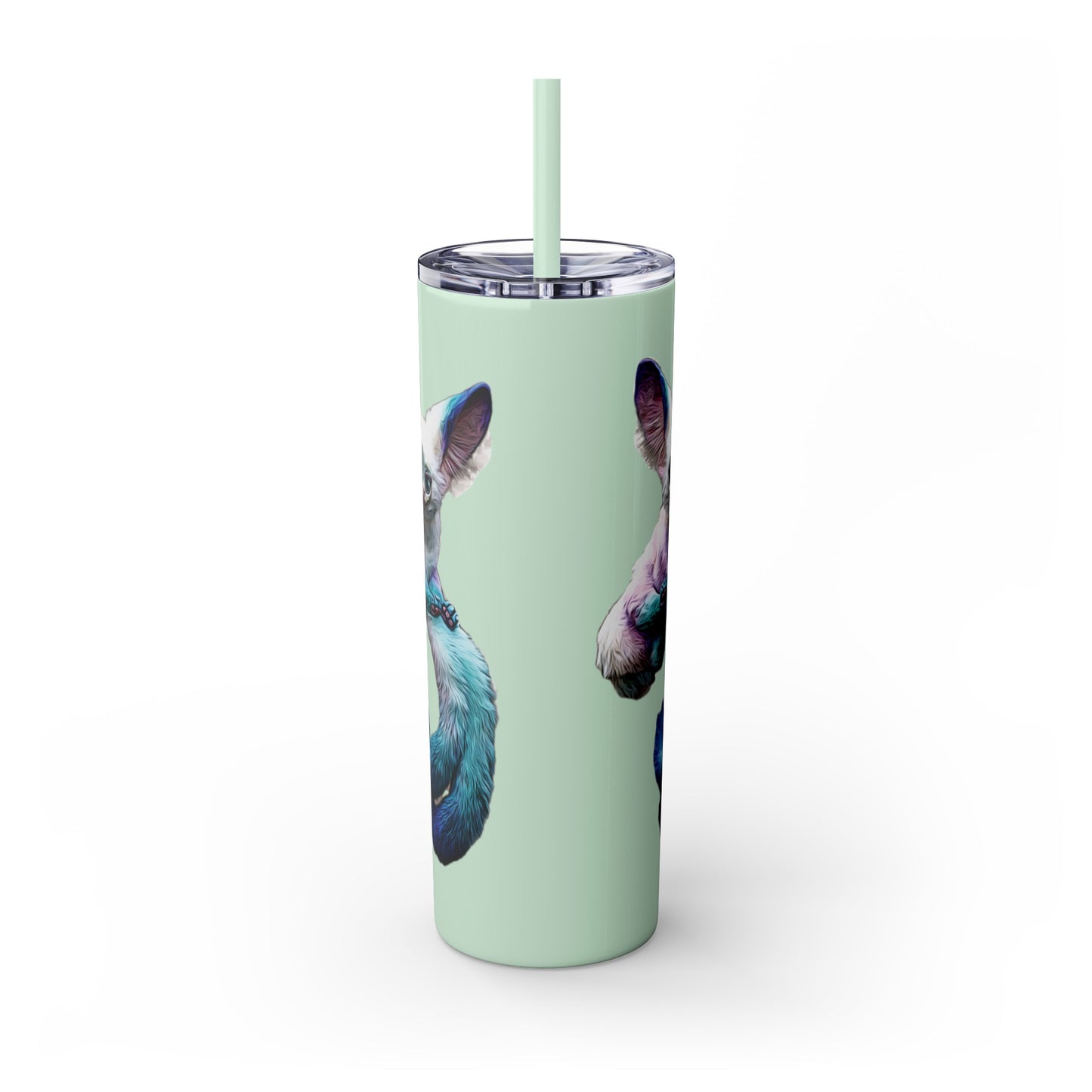 Dreambaby Skinny Tumbler with Straw, 20oz