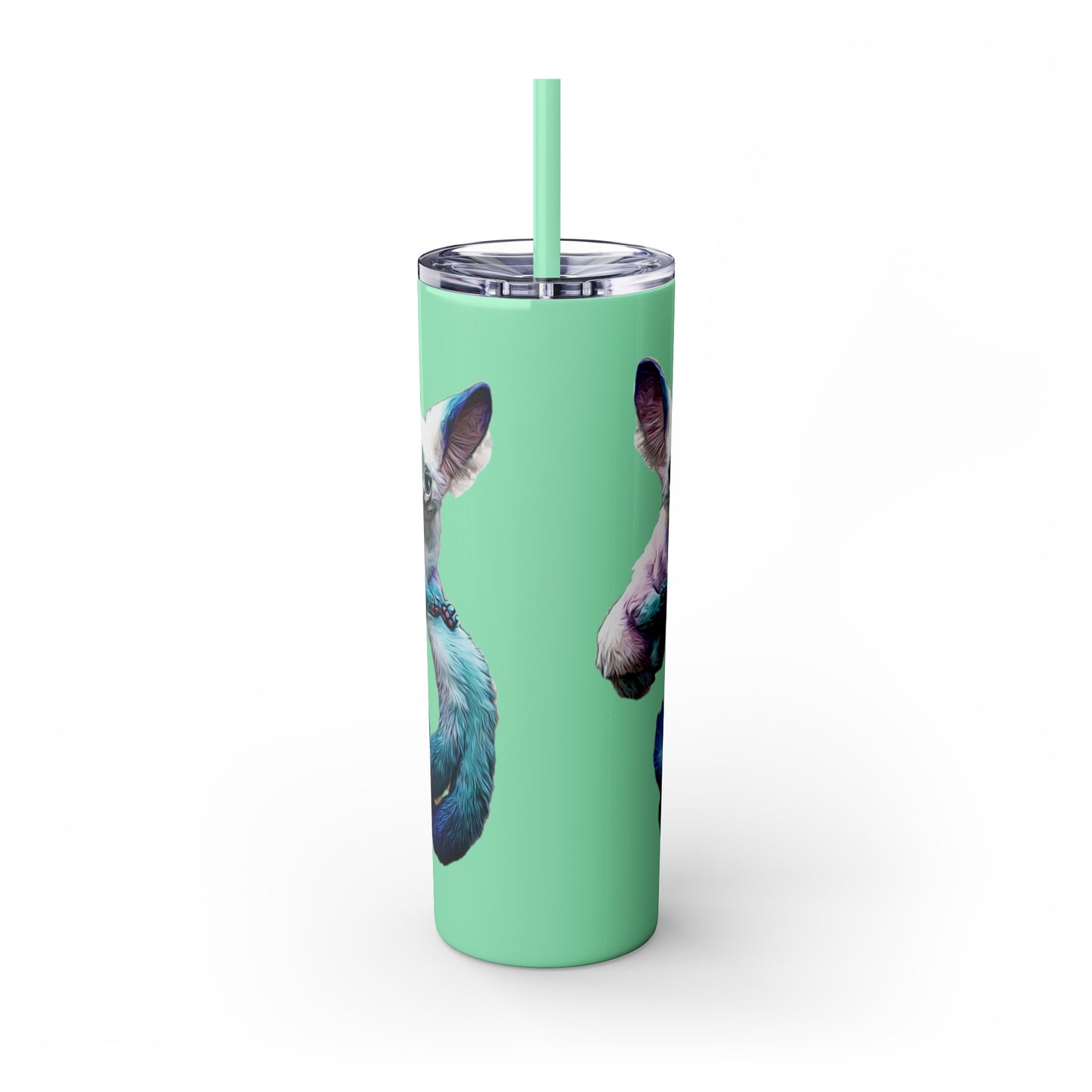 Dreambaby Skinny Tumbler with Straw, 20oz