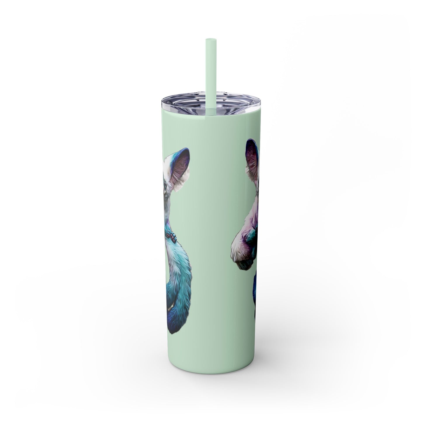 Dreambaby Skinny Tumbler with Straw, 20oz