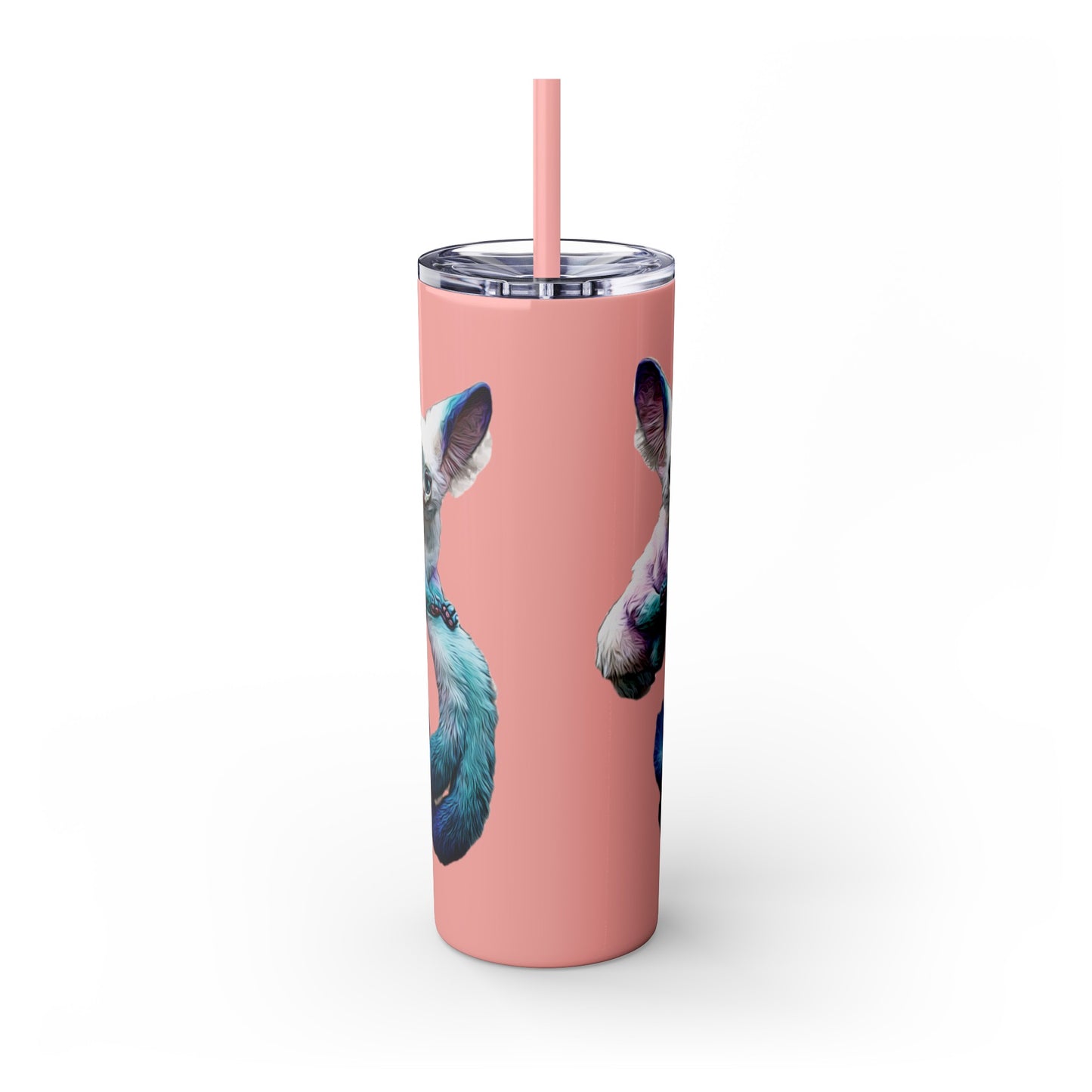 Dreambaby Skinny Tumbler with Straw, 20oz